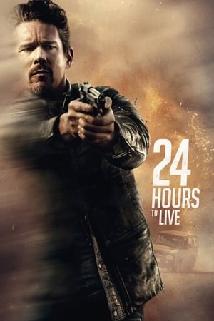 24 Hours to Live (2017) Hindi Dual Audio 480p BluRay 350MB