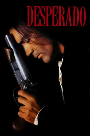 Desperado 1995 Hindi Dual Audio 480p BluRay 300MB